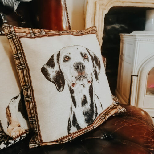 Housse de coussin Dalmatien